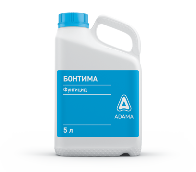 Bontima