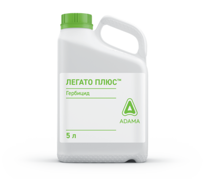 560 legato plus