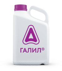 Галил