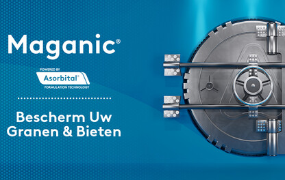 Maganic fungicide in suikerbiet en voederbiet