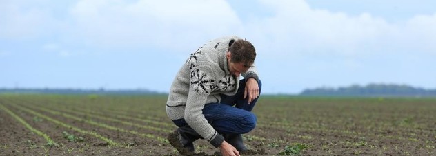 boer in het suikerbietenveld