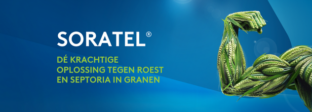 Soratel