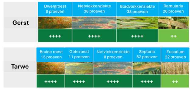 werkingsspectrum avastel granen