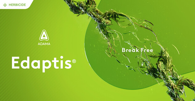 Edaptis - Break Free