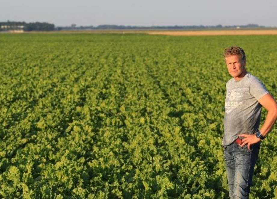 boer in het veld