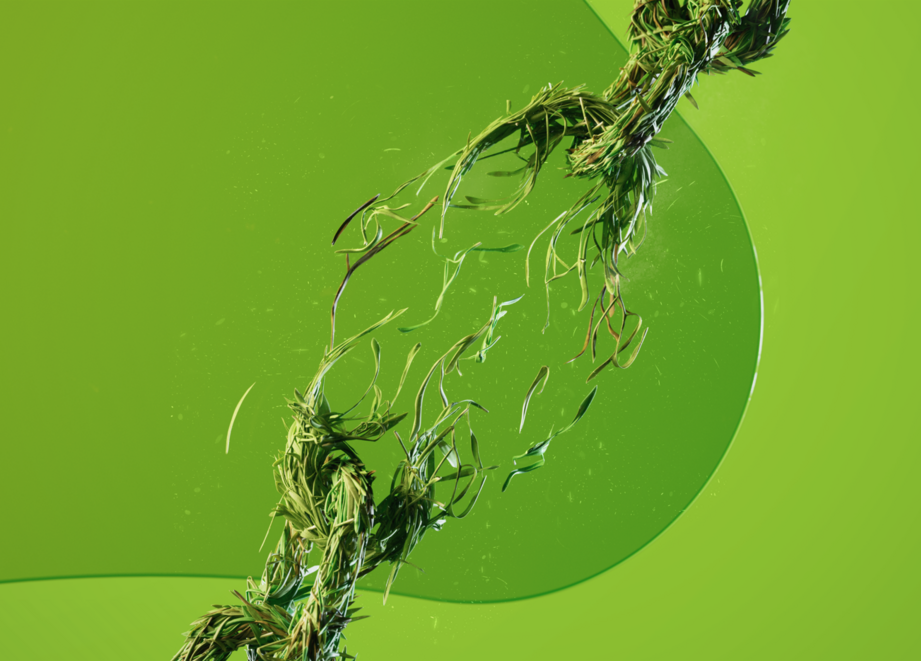 Edaptis - Break Free