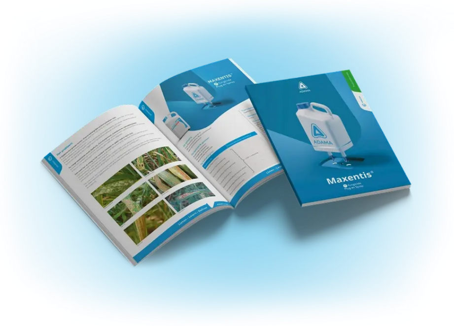 Maxentis Brochure Mock-up