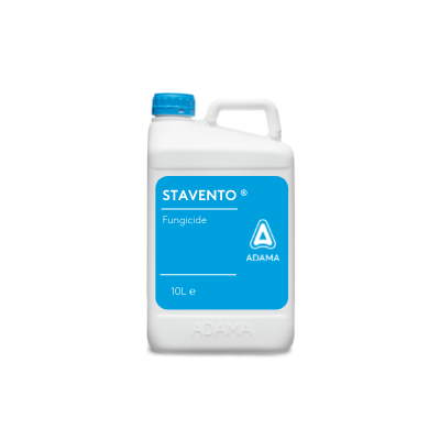 Stavento - fungicide