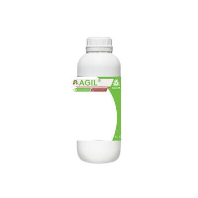 Agil