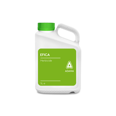 Efica