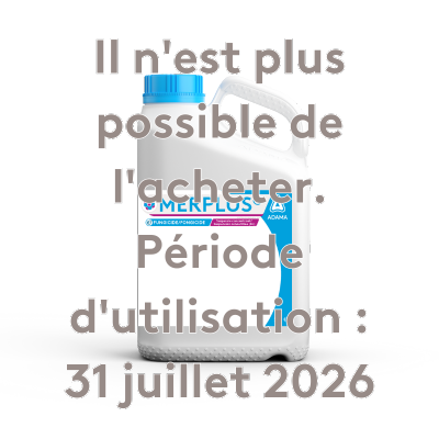 Merplus