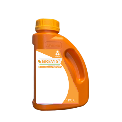 Brevis BE