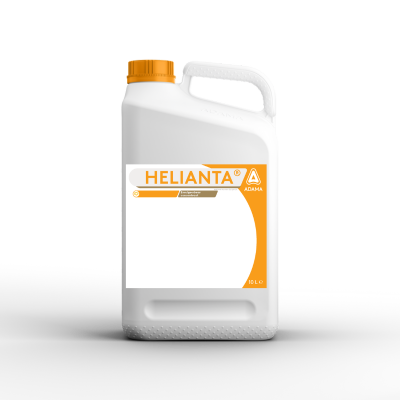 Helianta
