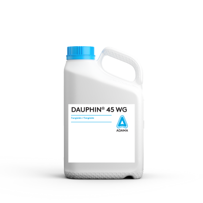 Dauphin