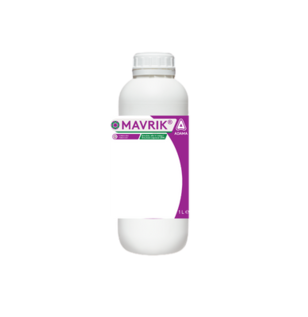 Mavrik