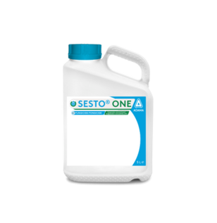 Sesto one - Fungicides