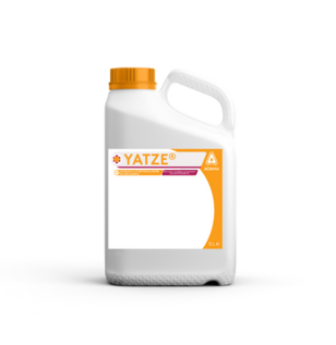 Yatze