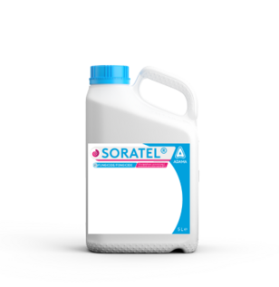 Soratel