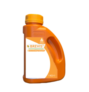 Brevis BE