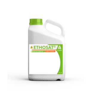 Ethosat