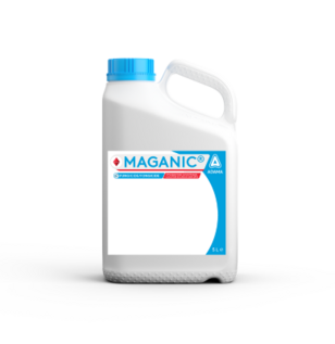 MAGANIC