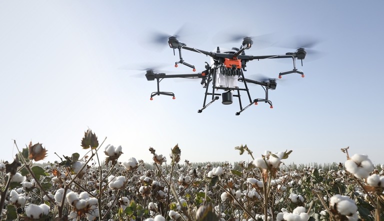 Drone sobre lavoura de algodão