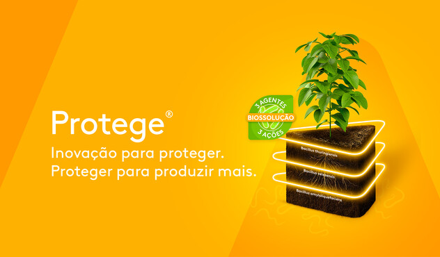 Protege adama