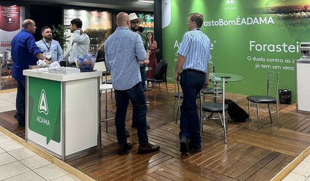 Boi que Deixa Dinheiro 2025