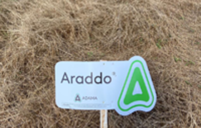 Araddo. Incomparável no manejo de plantas daninhas na dessecação.