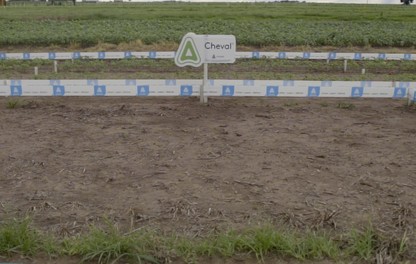 Cheval