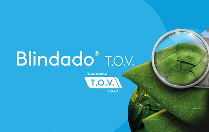 Blindado TOV