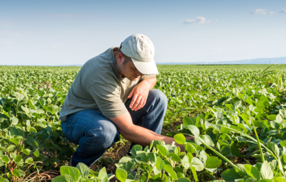 agricultor no campo