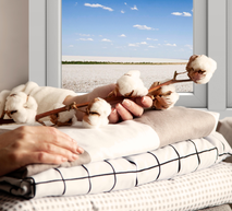 Banner Bom de Algodao