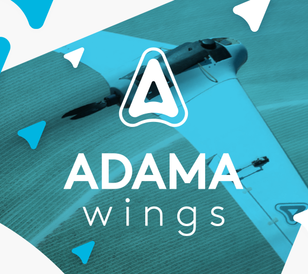 Capa ADAMA Wings