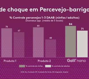 Efeito de choque em Percevejo-barriga-verde
