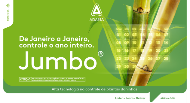 Planta de cana com os escritos: De janeiro a janeiro, controle o ano inteiro. Jumbo.