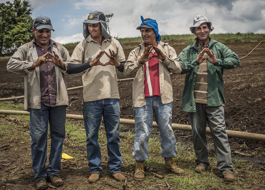 agricultores em um campo de café