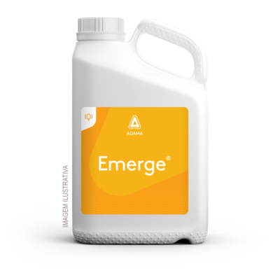 Emerge