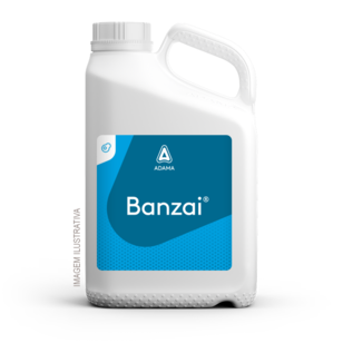 Embalagem Banzai