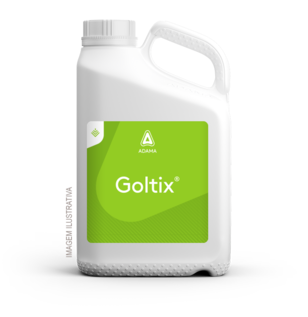 Goltix