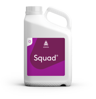 Squad Inseticida