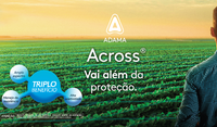 Campanha Across