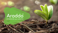 Campanha Araddo