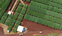 Dia de campo ADAMA e CTC