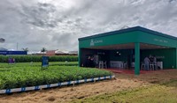 Estande da ADAMA no Show Safra 2023
