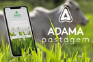 ADAMA Pastagem
