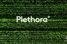 Plethora