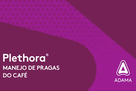 Plethora Café - Minuto Portfólio