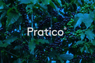 Pratico Adama