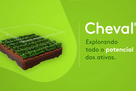 Cheval